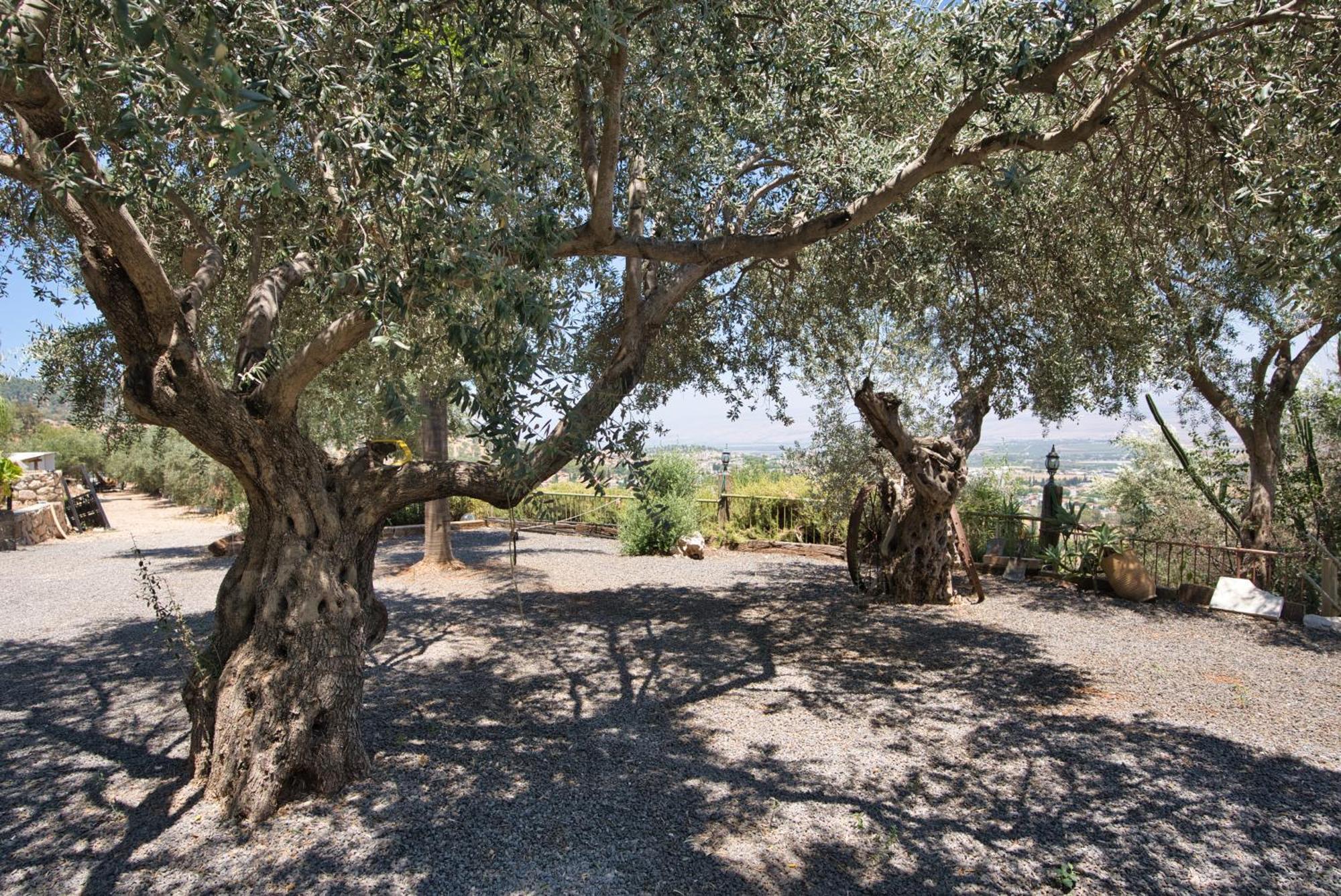 Hameiri Estate Rosh Pinna Exterior photo